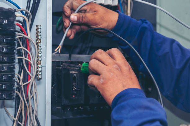 Best Ceiling Fan Installation Electrician  in Columbia Heights, MN